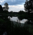 Awatar użytkownika
